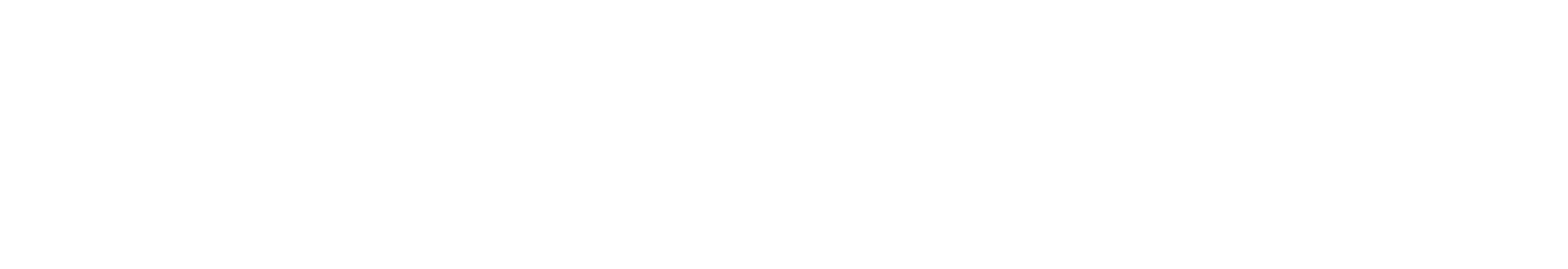 Data Leadership - Data & AI transformatie